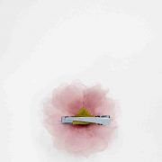 hair-clip-2
